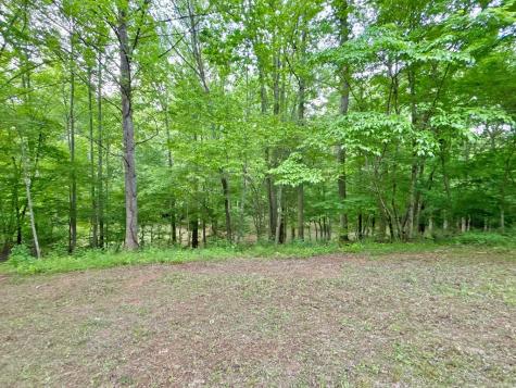 Lt 5 Spiva Cove Road Blairsville GA 30512