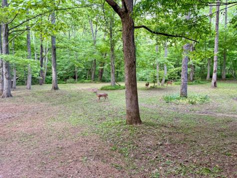 Lt 5 Spiva Cove Road Blairsville GA 30512