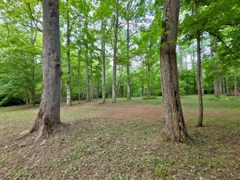 Lt 5 Spiva Cove Road Blairsville GA 30512