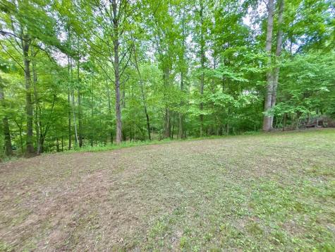 Lt 5 Spiva Cove Road Blairsville GA 30512