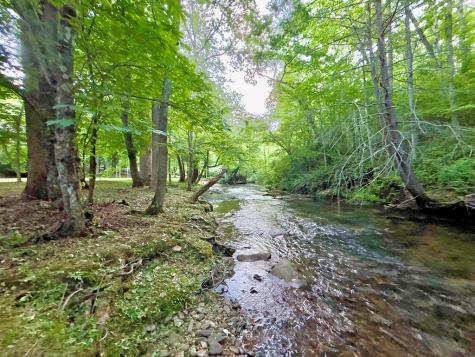 Lt 5 Spiva Cove Road Blairsville GA 30512