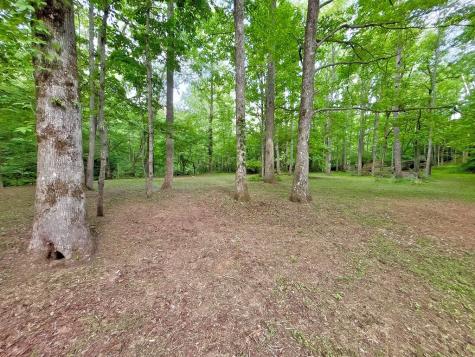 Lt 5 Spiva Cove Road Blairsville GA 30512