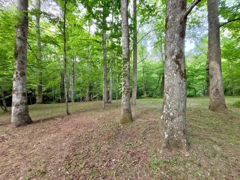 Lt 5 Spiva Cove Road Blairsville GA 30512