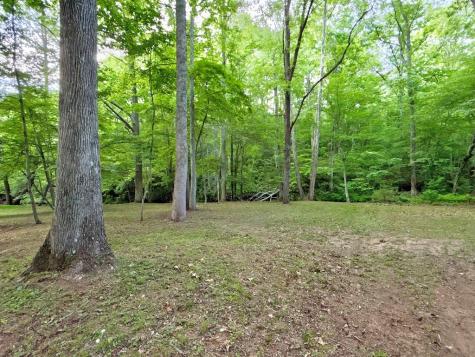 Lt 5 Spiva Cove Road Blairsville GA 30512