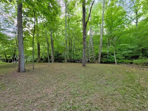 Lt 5 Spiva Cove Road Blairsville GA 30512