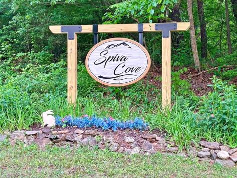 Lt 5 Spiva Cove Road Blairsville GA 30512