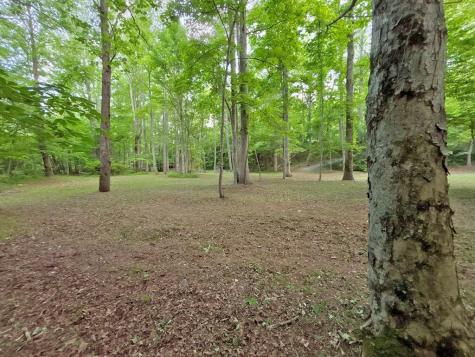 Lt 5 Spiva Cove Road Blairsville GA 30512