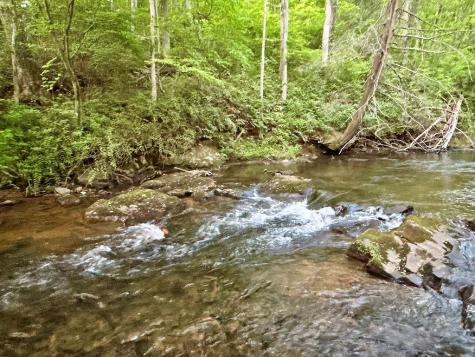 Lt 5 Spiva Cove Road Blairsville GA 30512