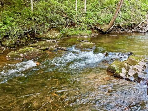 Lt 5 Spiva Cove Road Blairsville GA 30512