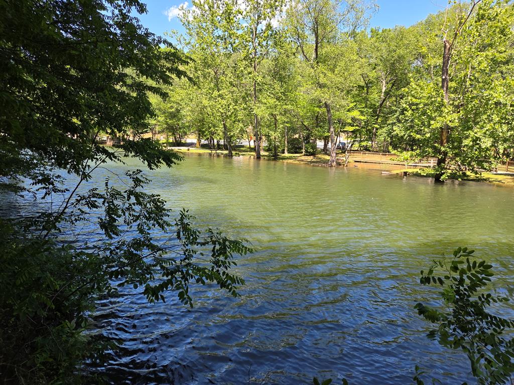 Lot 4 Ch Colwell Drive Blairsville GA 30512