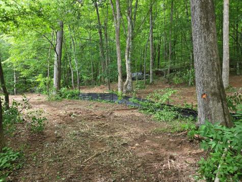Lot 4 Ch Colwell Drive Blairsville GA 30512
