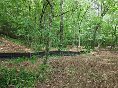 Lot 4 Ch Colwell Drive Blairsville GA 30512