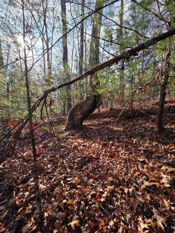 Lot 4 Ch Colwell Drive Blairsville GA 30512