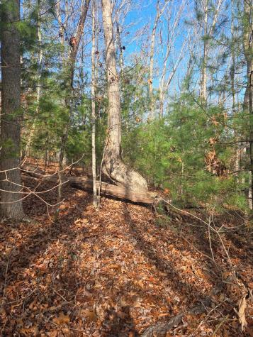 Lot 4 Ch Colwell Drive Blairsville GA 30512