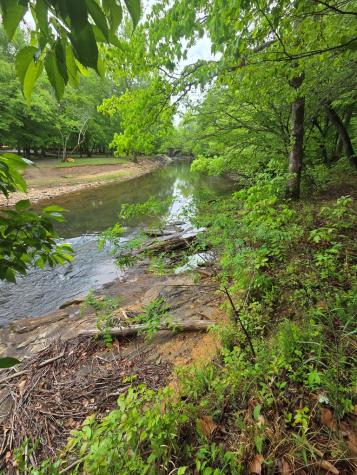 Lot 4 Ch Colwell Drive Blairsville GA 30512