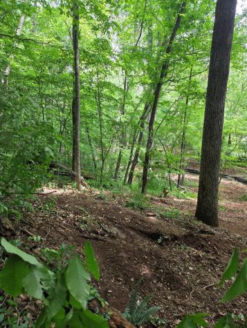 Lot 4 Ch Colwell Drive Blairsville GA 30512