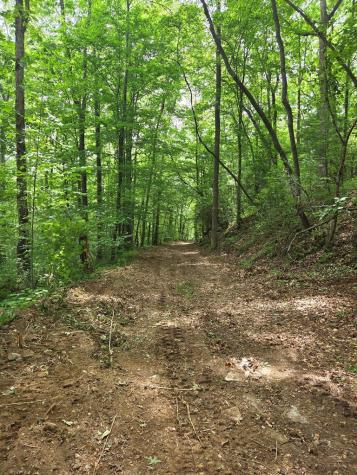 Lot 4 Ch Colwell Drive Blairsville GA 30512