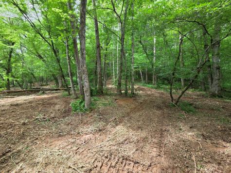 Lot 4 Ch Colwell Drive Blairsville GA 30512