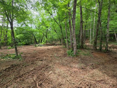 Lot 4 Ch Colwell Drive Blairsville GA 30512