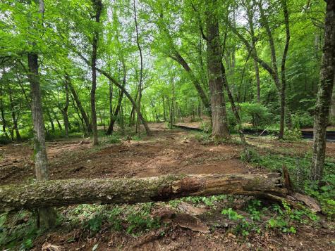 Lot 4 Ch Colwell Drive Blairsville GA 30512