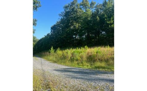 Lt 50 White Pine Ridge Ellijay GA 30540