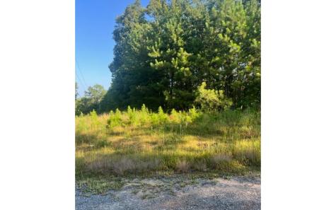 Lt 50 White Pine Ridge Ellijay GA 30540