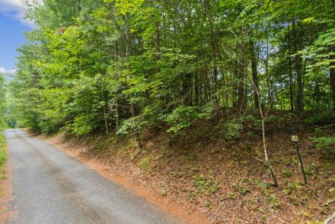 Lot 5 Riverfront Drive Ellijay GA 30536
