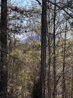9-11 Sugar Maple Road Murphy NC 28906