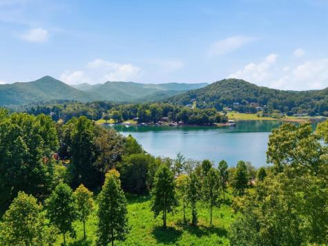 314 Lakeside Drive Hiawassee GA 30546