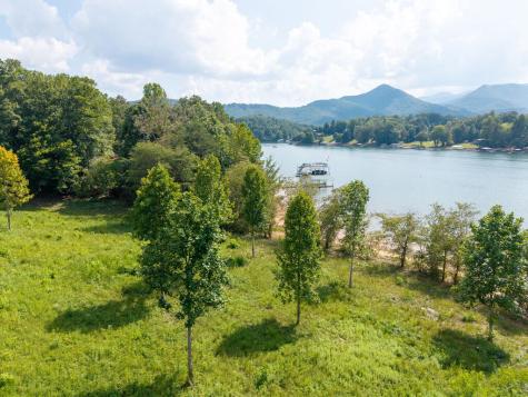 314 Lakeside Drive Hiawassee GA 30546