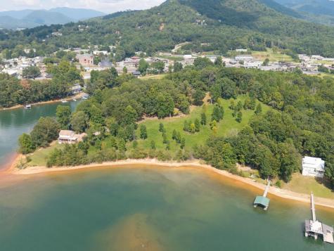 314 Lakeside Drive Hiawassee GA 30546