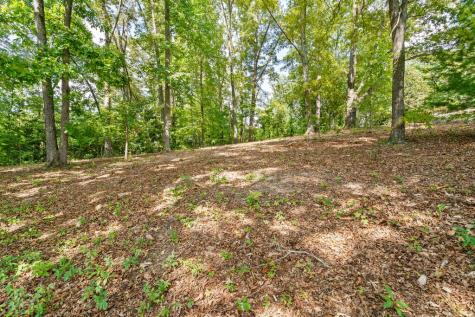 314 Lakeside Drive Hiawassee GA 30546