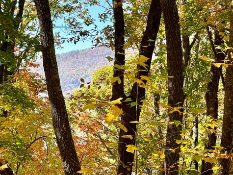 0 E Hwy 64 E Hayesville NC 28904