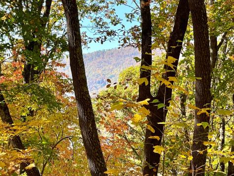 0 E Hwy 64 E Hayesville NC 28904