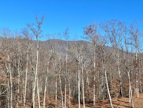 0 E Hwy 64 E Hayesville NC 28904