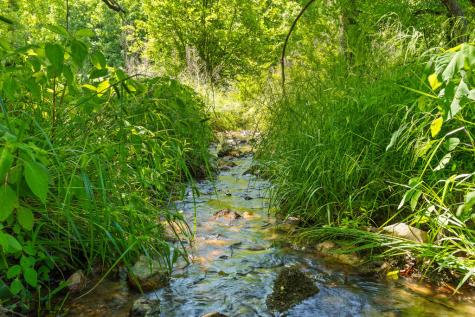 Lot 12 Squirrel Hunting Road Morganton GA 30560