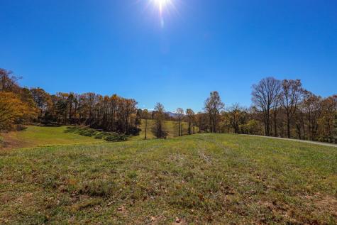 Lot 14 Hinton Overlook Hayesville NC 28904