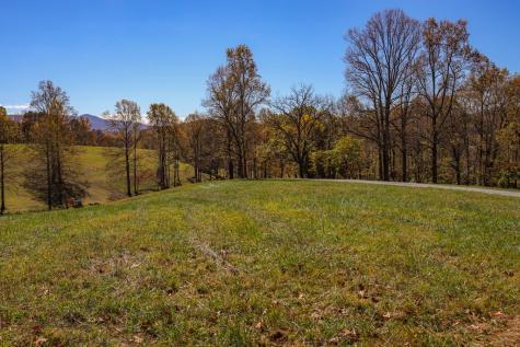Lot 14 Hinton Overlook Hayesville NC 28904