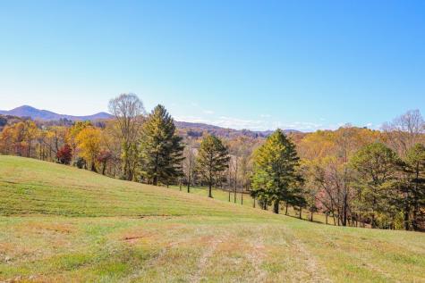 Lot 14 Hinton Overlook Hayesville NC 28904