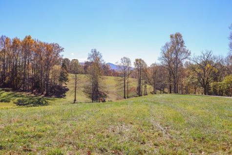 Lot 14 Hinton Overlook Hayesville NC 28904