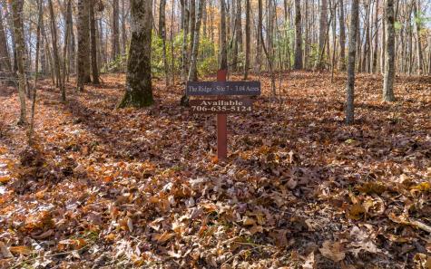 Lot 7 Joseph Anderson Trail Ellijay GA 30536