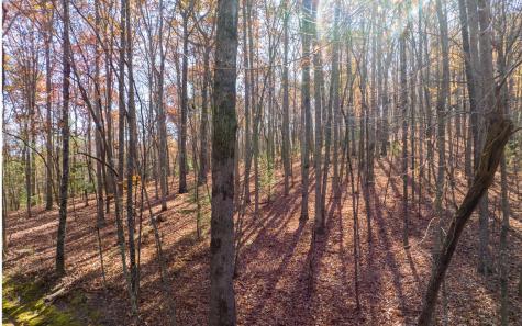 Lot 7 Joseph Anderson Trail Ellijay GA 30536