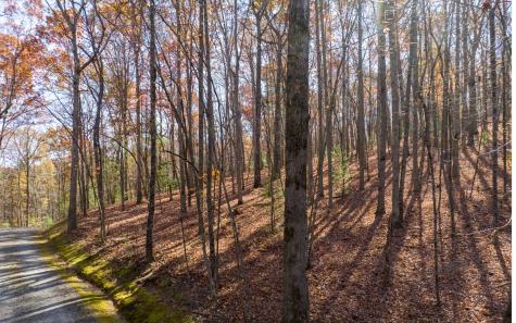 Lot 7 Joseph Anderson Trail Ellijay GA 30536