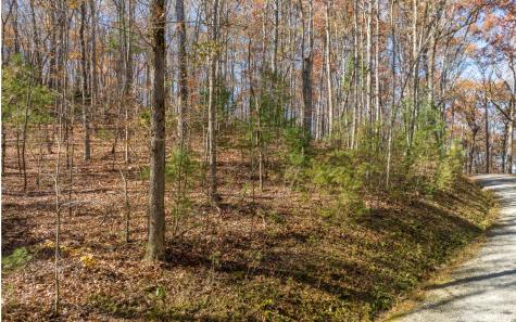 Lot 7 Joseph Anderson Trail Ellijay GA 30536