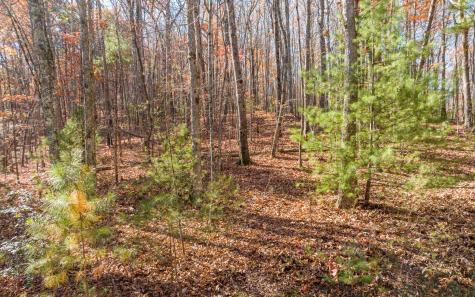 Lot 7 Joseph Anderson Trail Ellijay GA 30536