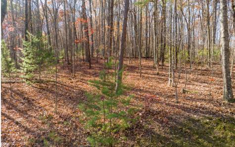 Lot 7 Joseph Anderson Trail Ellijay GA 30536