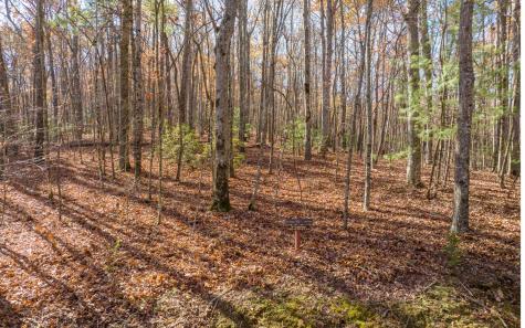 Lot 7 Joseph Anderson Trail Ellijay GA 30536
