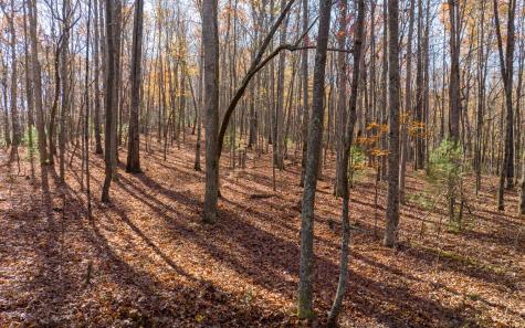 Lot 7 Joseph Anderson Trail Ellijay GA 30536