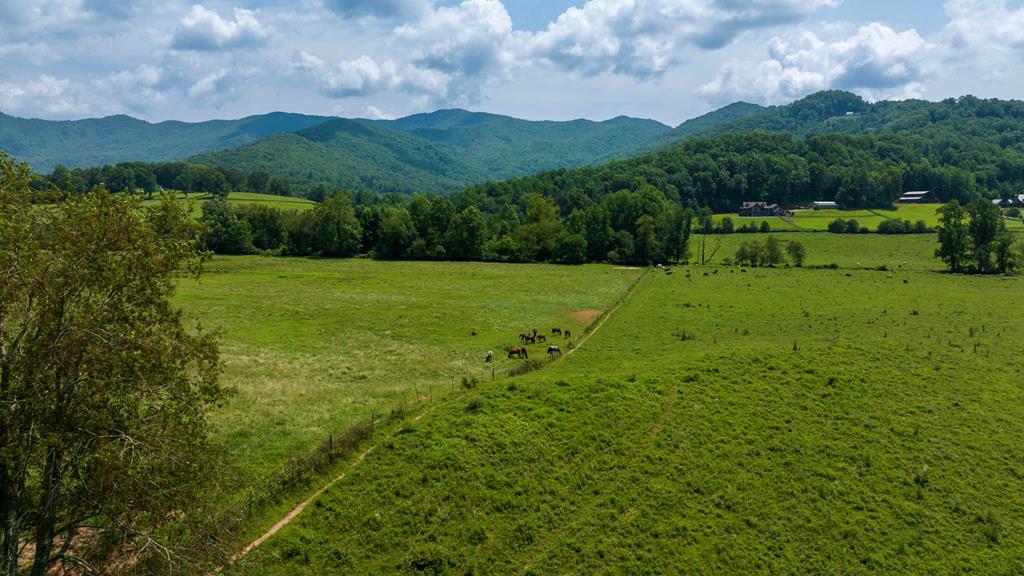 51.20 Ac Bethabara Road Hayesville NC 28904