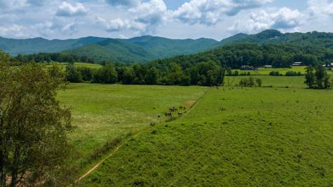 51.20 Ac Bethabara Road Hayesville NC 28904